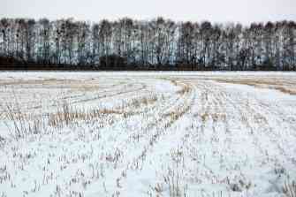 DSC_3838s.jpg