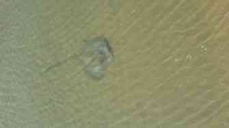 20140109_131501.jpg