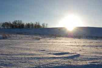 DSC_0547s2.jpg
