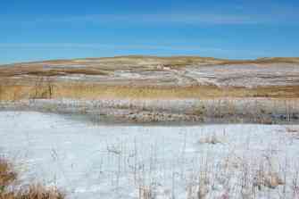 DSC_2542sf.jpg