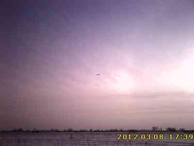 IMG0770+.jpg