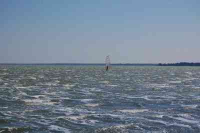 DSC_1915.JPG
