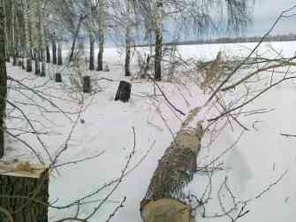 29122012258.jpg