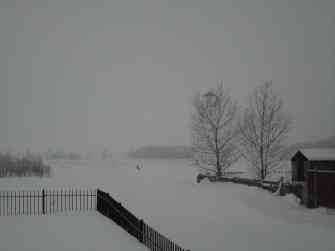 SDC12257.JPG