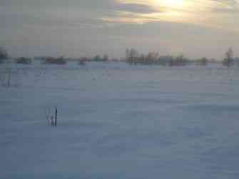 SDC12268.JPG