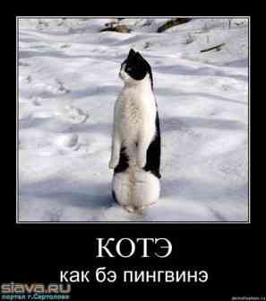 getImage (2).jpg